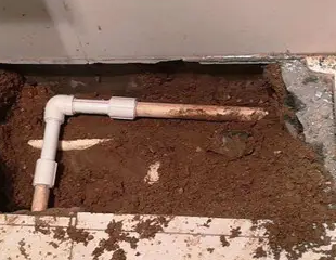 中原测漏水哪家好